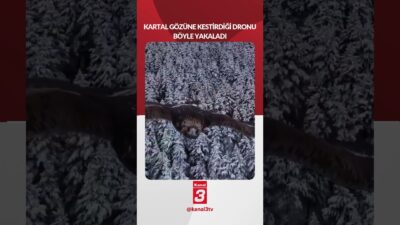 Kartal gözüne kestirdiği dronu böyle yakaladı! 📶https://kanal3.com.tr/ Sosyal Medya Hesaplarımızı