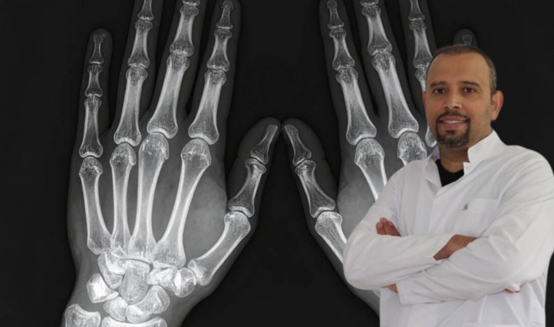 AFSÜ Tıp Fakültesi İç Hastalıkları Ana Bilim Dalı, Romatoloji Bilim