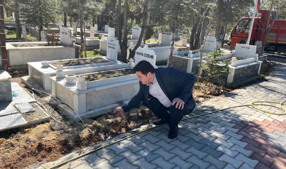 Bolvadin Belediyesi Fen İşleri Müdürlüğü Park ve Bahçeler ekipleri tarafından,