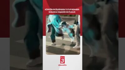 Köpeğin patilerinden tutup beraber koşunca yaşadığı mutluluk.. 📶https://kanal3.com.tr/ Sosyal Medya