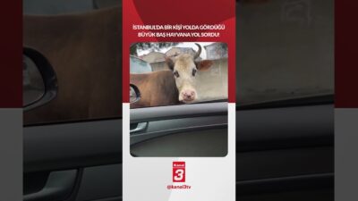 Kanal 3Pts, Mart 23, 2026 10:00amURL:Embed:İstanbul’da bir kişi yolda gördüğü