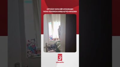 Çiftçilik yapan bir vatandaşın yatak odasında karşılaştığı manzara.. 📶https://kanal3.com.tr/ Sosyal