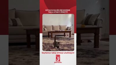 Kütahya’da bir kişi kedisine takla atmayı öğretti! 📶https://kanal3.com.tr/ Sosyal Medya