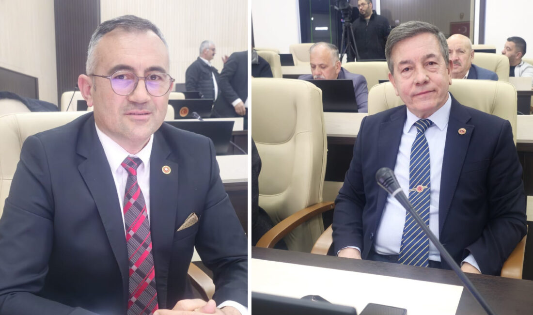 Afyonkarahisar İl Genel Meclisi mart ayı toplantıları devam ediyor. İGM