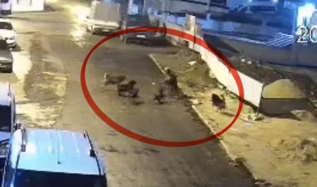 Samsun’un İlkadım ilçesinde teravih namazından evine dönen 65 yaşındaki bir