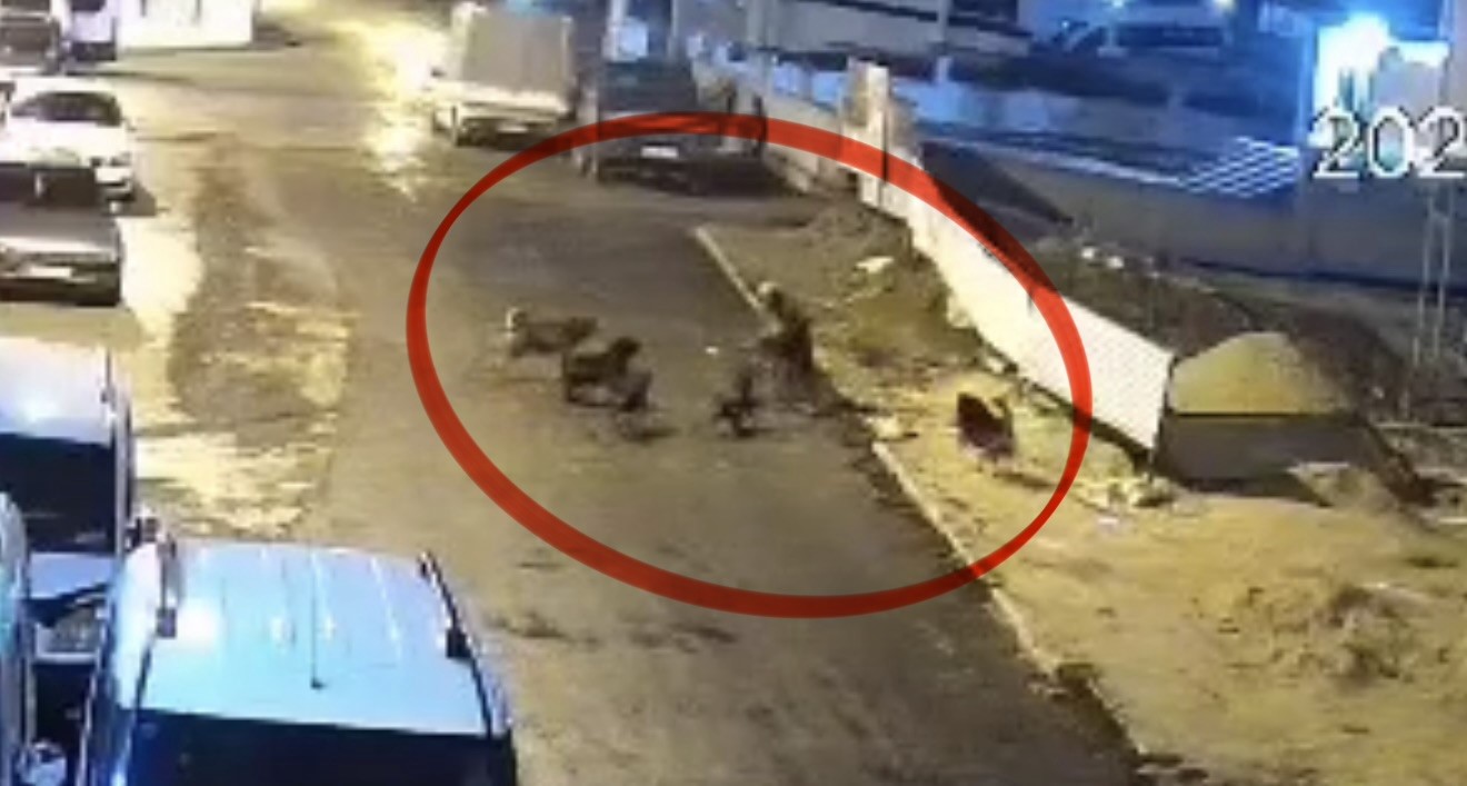 Samsun’un İlkadım ilçesinde teravih namazından evine dönen 65 yaşındaki bir