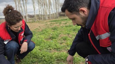 Afyonkarahisar İl Tarım ve Orman Müdürlüğü ekipleri, kent ekonomisinin can