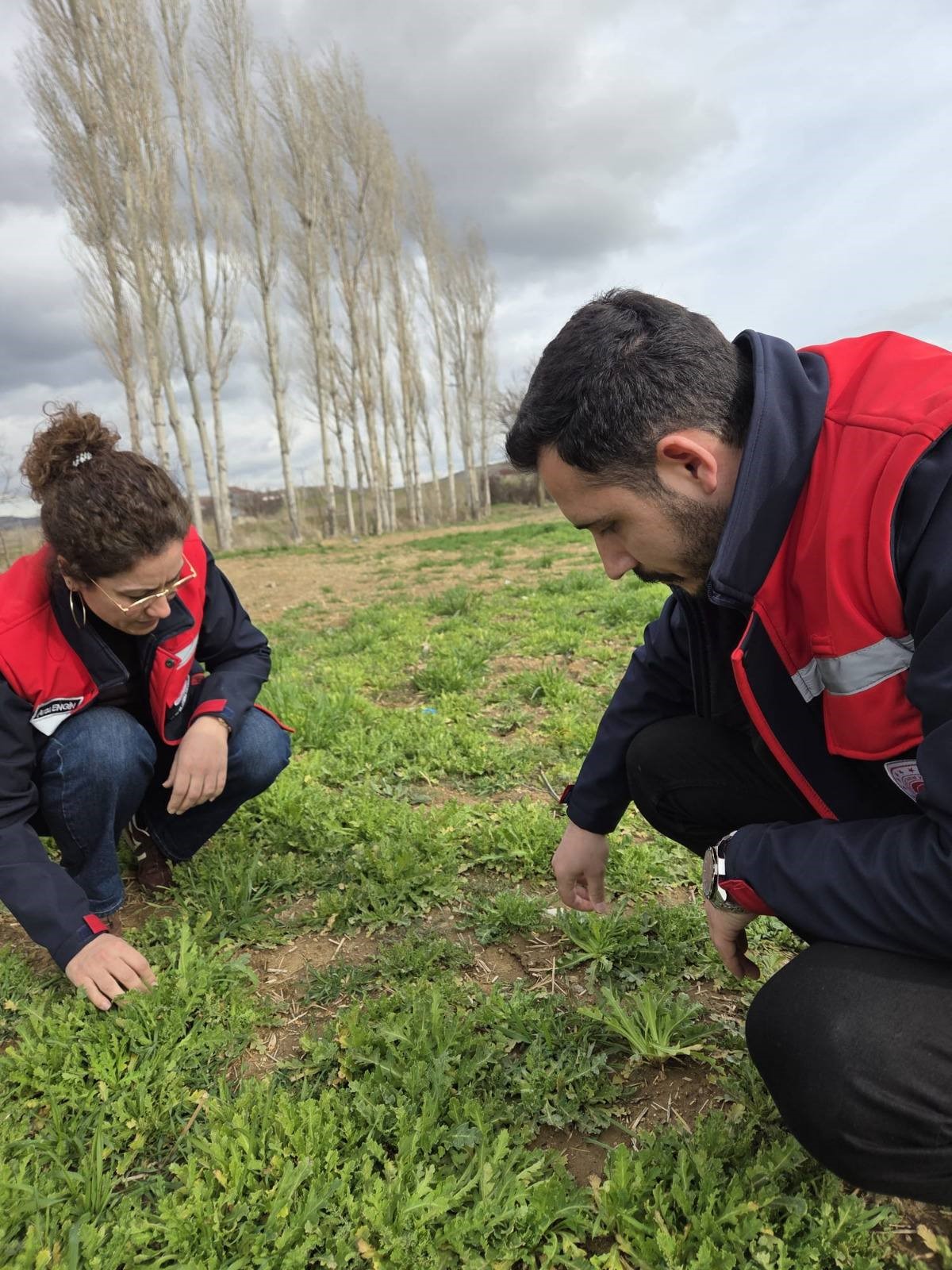 Afyonkarahisar İl Tarım ve Orman Müdürlüğü ekipleri, kent ekonomisinin can