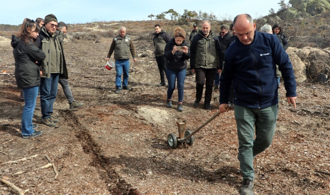 Eskişehir'in Seyitgazi ilçesi Fethiye mahallesi yakınlarında geçen yıl meydana gelen