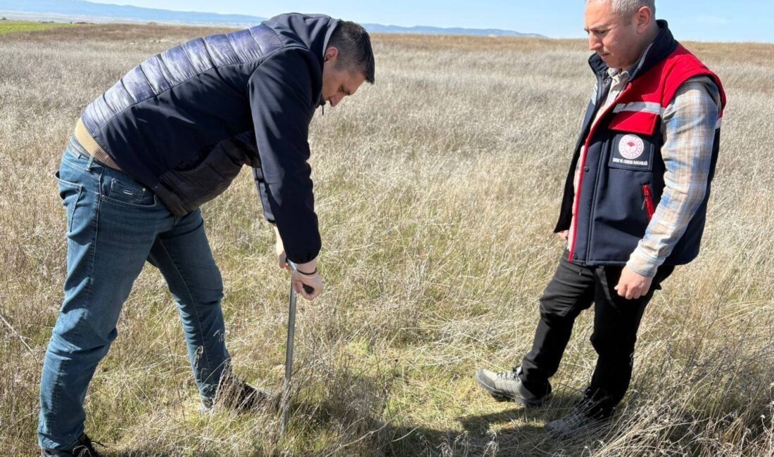 Afyonkarahisar İl Tarım ve Orman Müdürlüğü ekipleri, kentin verimli topraklarını