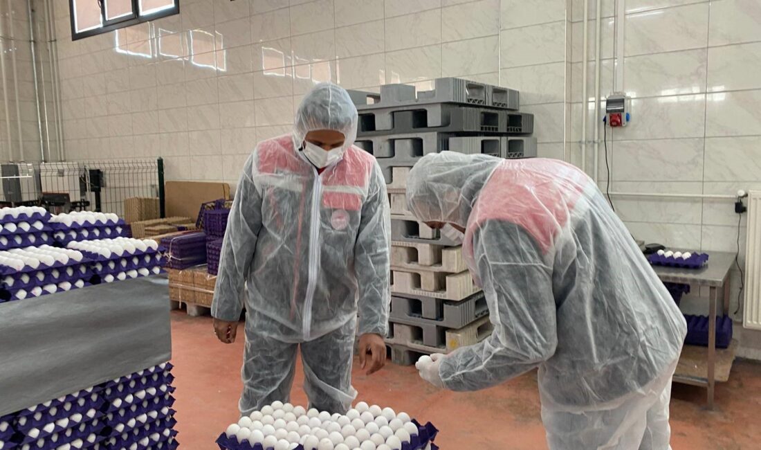 Afyonkarahisar İl Tarım ve Orman Müdürlüğü ekipleri, halk sağlığını doğrudan