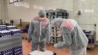 Afyonkarahisar İl Tarım ve Orman Müdürlüğü ekipleri, halk sağlığını doğrudan