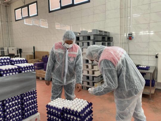 Afyonkarahisar İl Tarım ve Orman Müdürlüğü ekipleri, halk sağlığını doğrudan