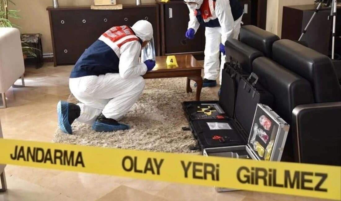 Muğla'nın Kavaklıdere ilçesi, 8 Mart Dünya Kadınlar Günü'ne acı bir