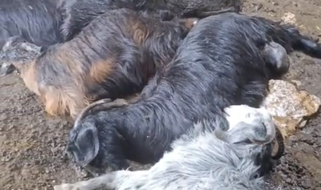 Mersin’in Tarsus ilçesinde sabah saatlerinde etkili olan sağanak yağış sırasında