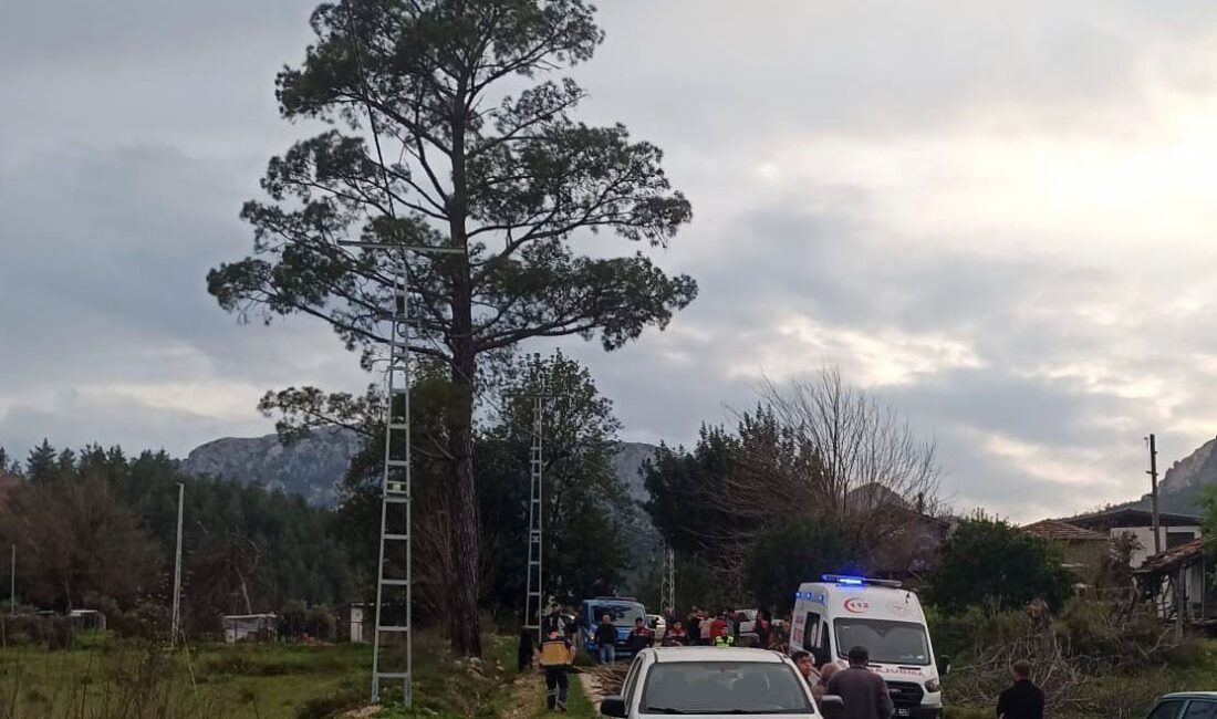 Antalya’nın Serik ilçesinde hareket halindeki kamyonetin kasasında dengesini kaybederek yola