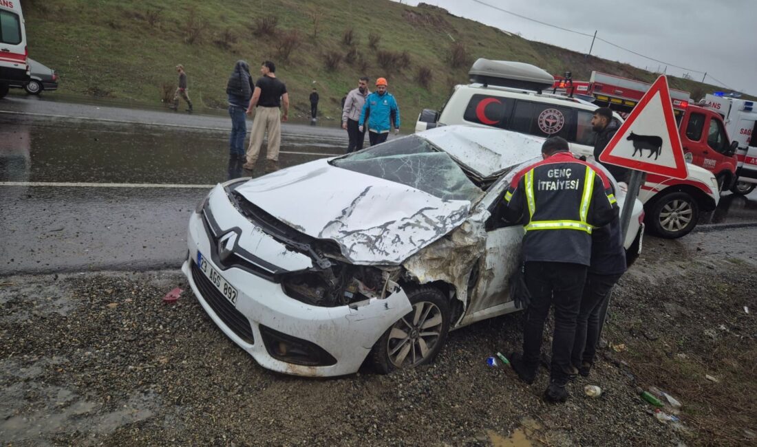 Bingöl-Diyarbakır karayolunda kontrolden çıkan bir otomobilin takla atması sonucu meydana