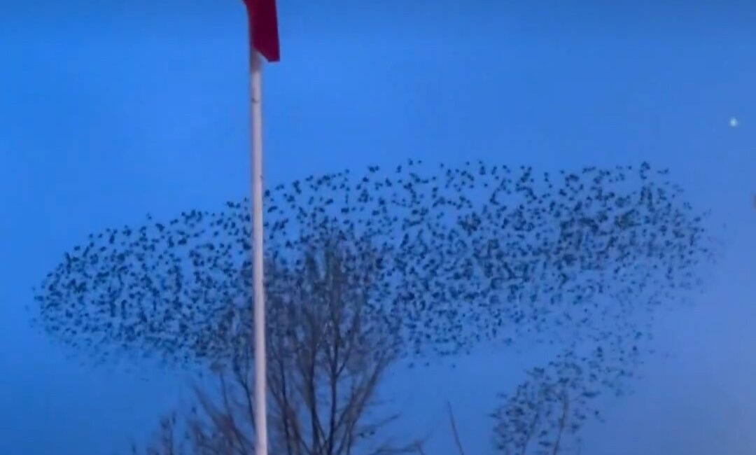 Afyonkarahisar’ın Emirdağ ilçesinde gün batımı saatlerinde kaydedilen doğa olayı, izleyenlere