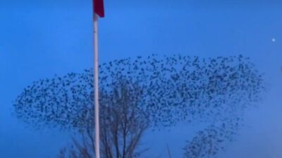 Afyonkarahisar’ın Emirdağ ilçesinde gün batımı saatlerinde kaydedilen doğa olayı, izleyenlere