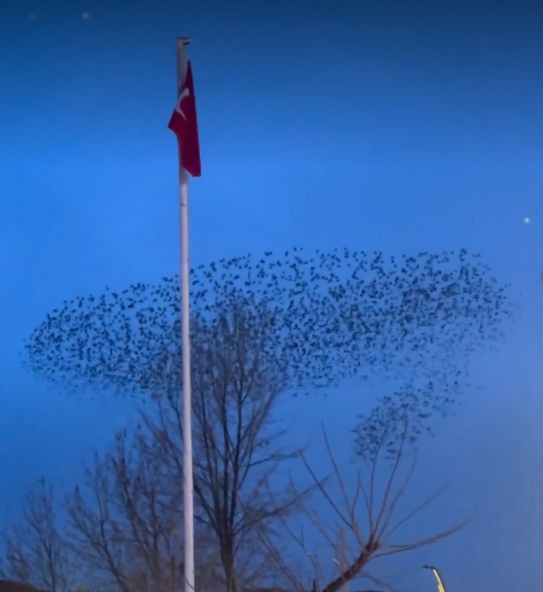 Afyonkarahisar’ın Emirdağ ilçesinde gün batımı saatlerinde kaydedilen doğa olayı, izleyenlere