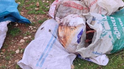 Şanlıurfa’nın Eyyübiye ilçesinde boş arazide bulunan çuvallar dolusu at başı