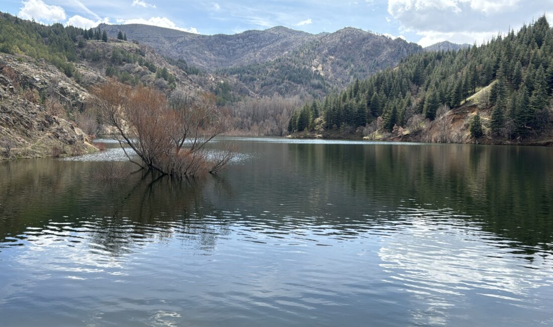 Afyonkarahisar'da kış ve ilkbahar dönemlerinde etkili olan yağışlarla 16 göletten