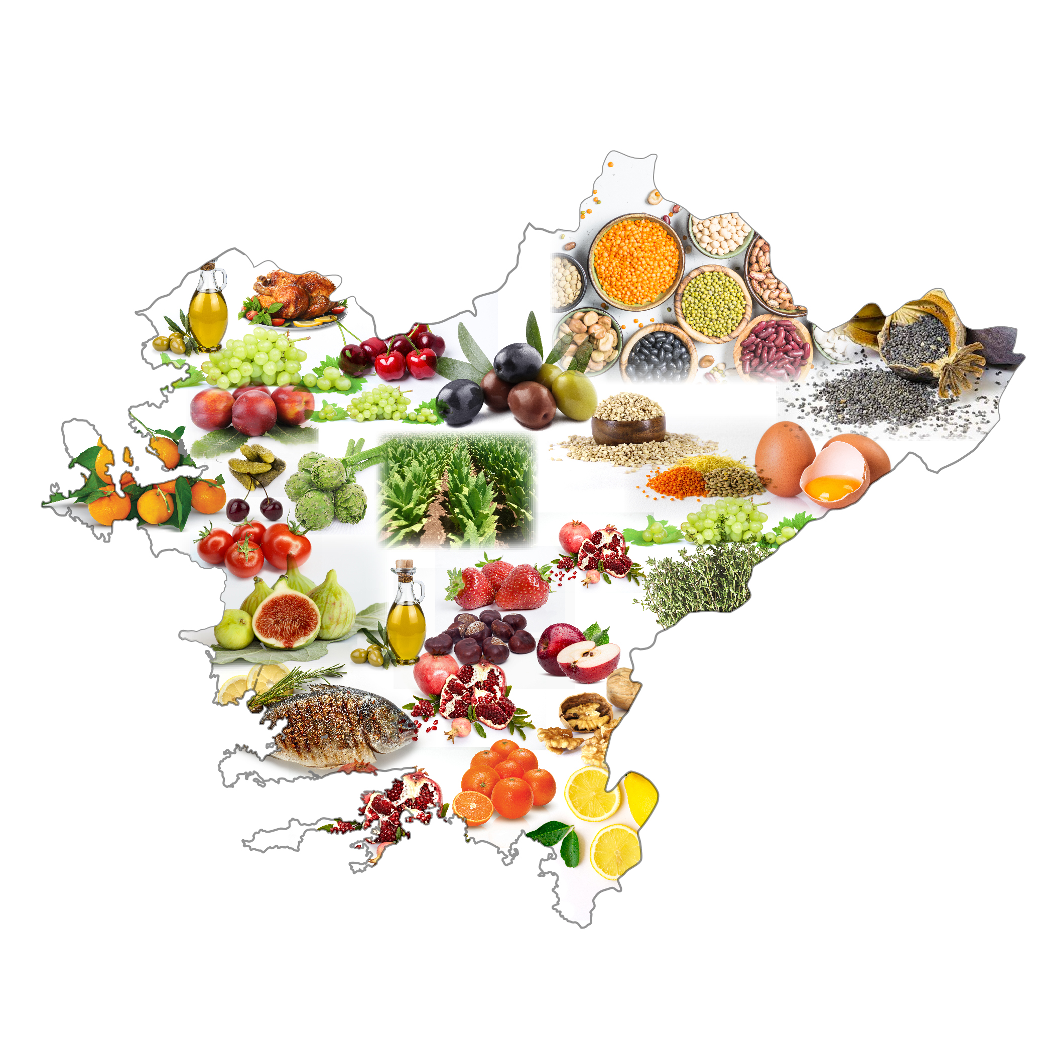 Ticaret Bakanlığı, şubat ayı faaliyet illeri ihracat istatistiklerine göre Ege