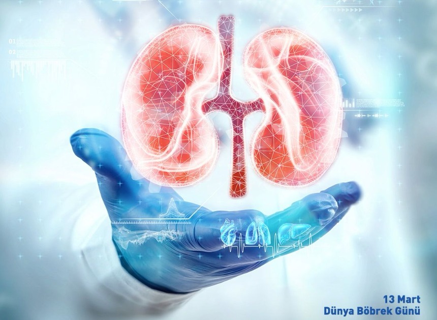 Her yıl mart ayının ikinci perşembe günü kutlanan Dünya Böbrek