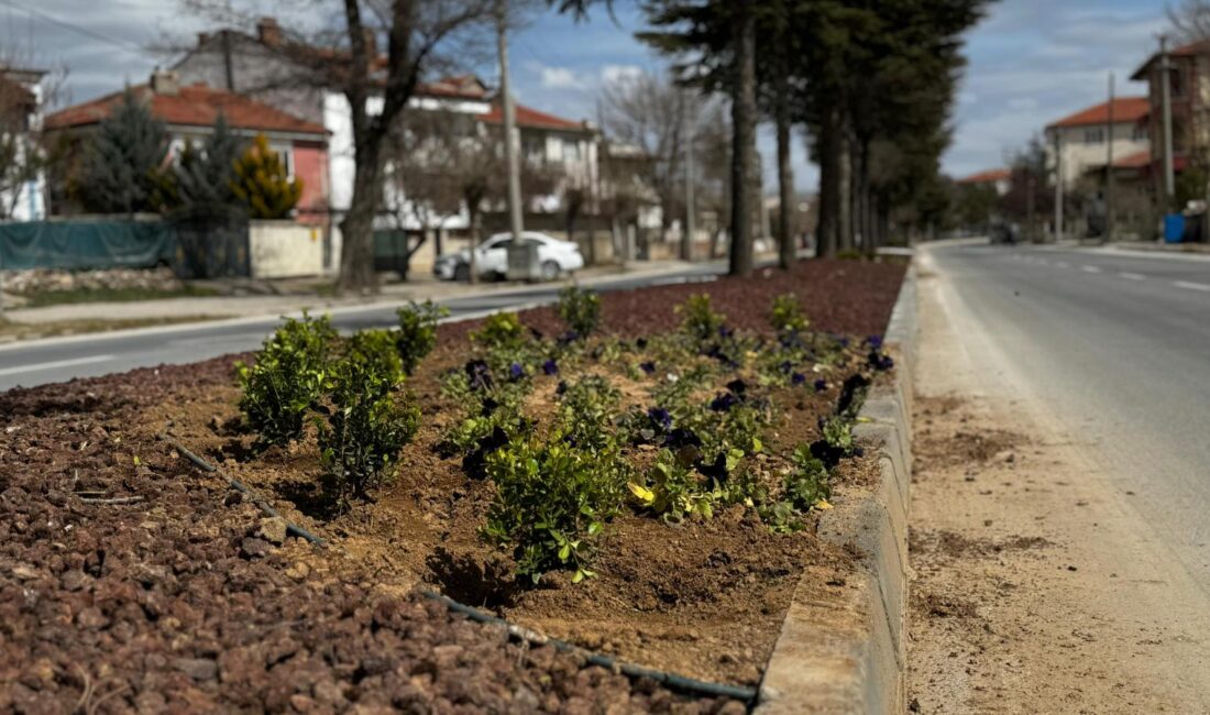 Bolvadin Belediyesi Fen İşleri Müdürlüğü Park ve Bahçeler ekipleri tarafından
