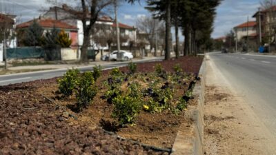 Bolvadin Belediyesi Fen İşleri Müdürlüğü Park ve Bahçeler ekipleri tarafından