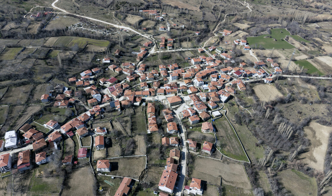 Afyonkarahisar'ın Sinanpaşa ilçesinde "En Yeşilaycı Köy" ilan edilen 370 nüfuslu