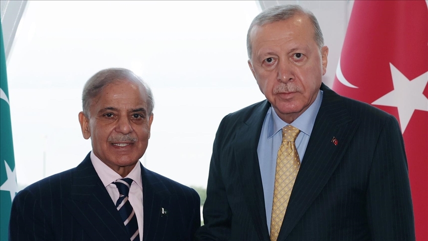 Cumhurbaşkanı Recep Tayyip Erdoğan, Pakistan Başbakanı Şahbaz Şerif ile bir