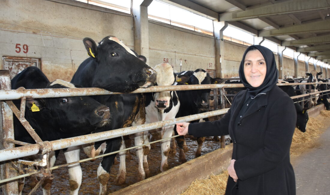 Afyonkarahisar'da Tarım ve Kırsal Kalkınmayı Destekleme Kurumunun (TKDK) desteğinden faydalanan