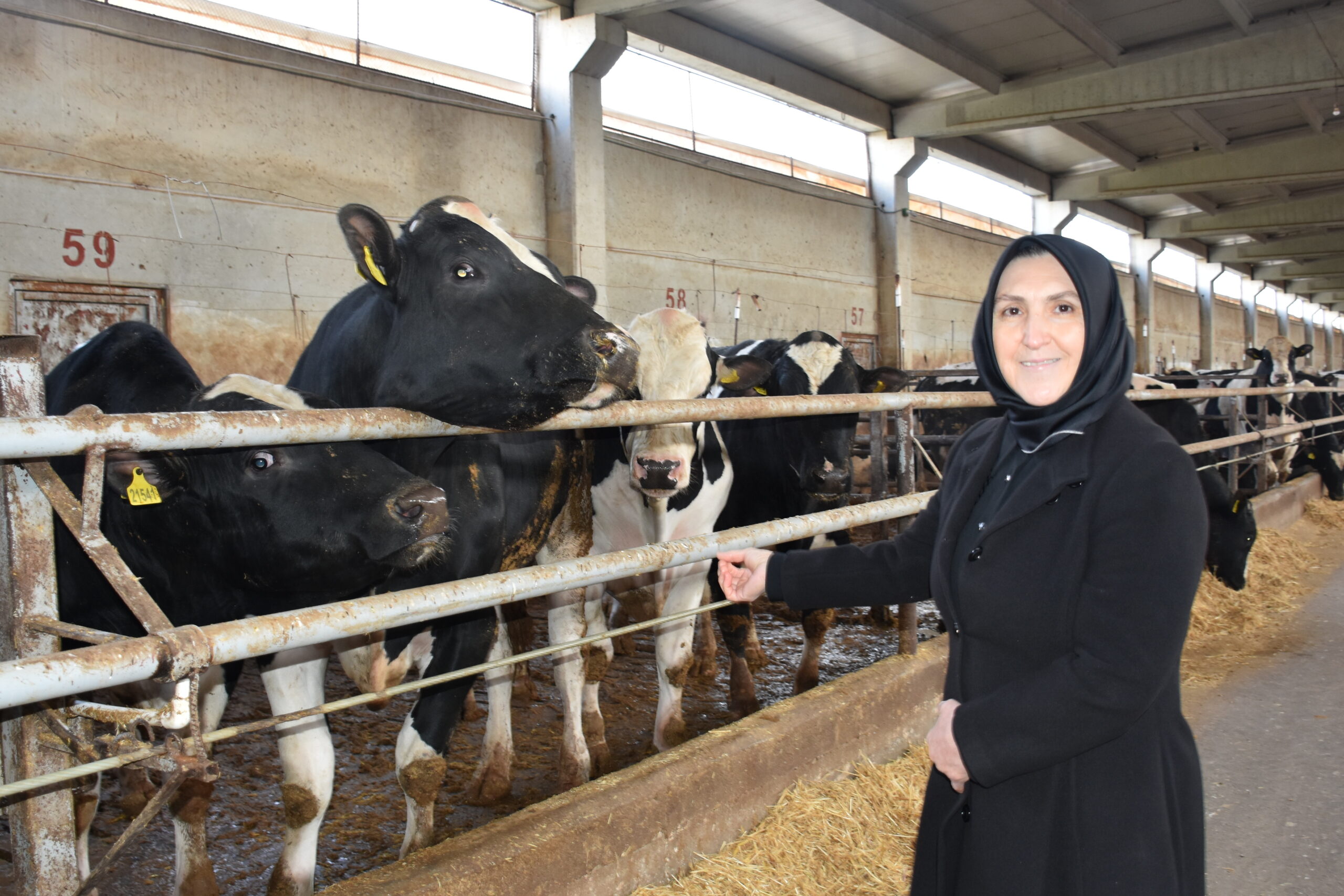 Afyonkarahisar'da Tarım ve Kırsal Kalkınmayı Destekleme Kurumunun (TKDK) desteğinden faydalanan