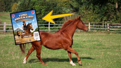 Afyonkarahisar Belediyesi, at sevgisini aşılamak ve şehre yeni biniciler kazandırmak