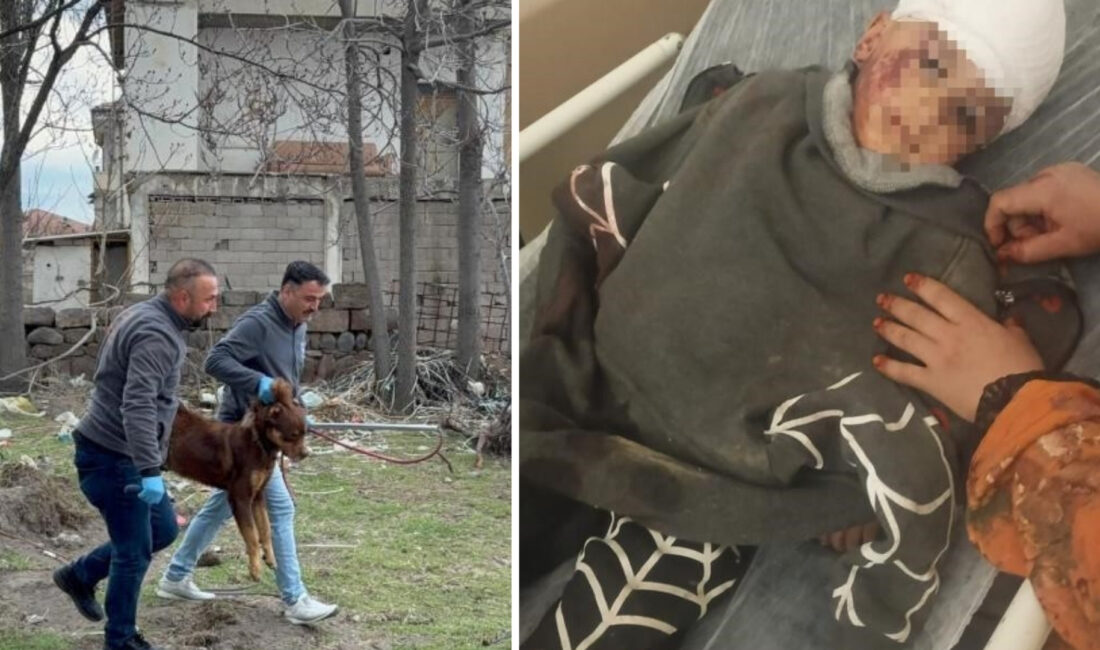 Kayseri’de sokakta oynayan 3 yaşındaki yabancı uyruklu bir çocuğa saldırarak