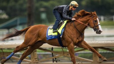 Mersin'de belediyeye bağlı aşevinde ihtiyaç sahiplerine dağıtılmak üzere hazırlanan yemekler