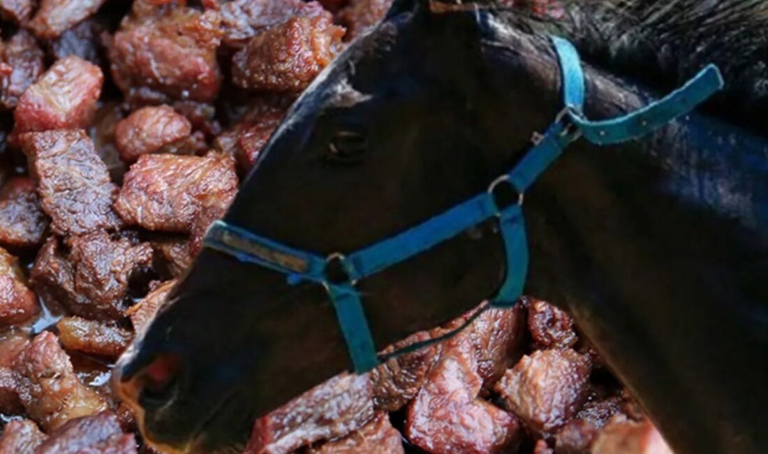 Mersin’de bir aşevinde dağıtılan kavurmanın içinden elektronik çip çıkmasıyla patlak