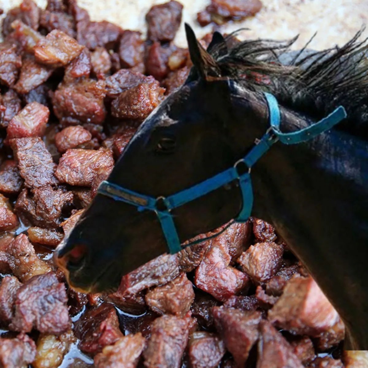 Mersin’de bir aşevinde dağıtılan kavurmanın içinden elektronik çip çıkmasıyla patlak