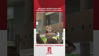 Kanal 3Cts, Mart 28, 2026 4:00pmURL:Embed:Bir kadın, kedisini şapka gibi