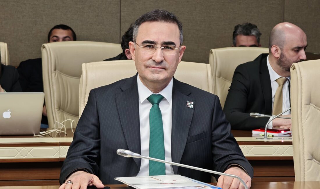 AK Parti Afyonkarahisar Milletvekili Dr. Hasan Arslan, Türkiye Büyük Millet