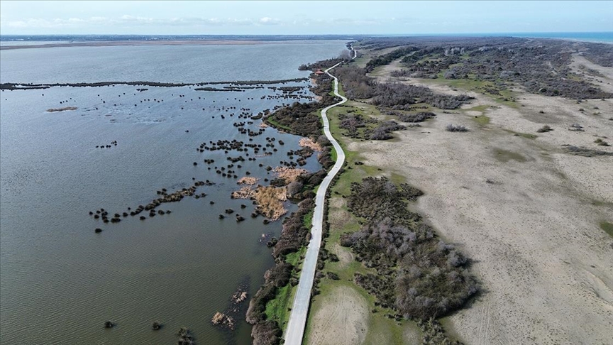 Samsun'da UNESCO Dünya Mirası Geçici Listesi'nde bulunan Kızılırmak Deltası Kuş
