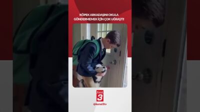 Köpek arkadaşını okula göndermemek için çok uğraştı! 📶https://kanal3.com.tr/ Sosyal Medya