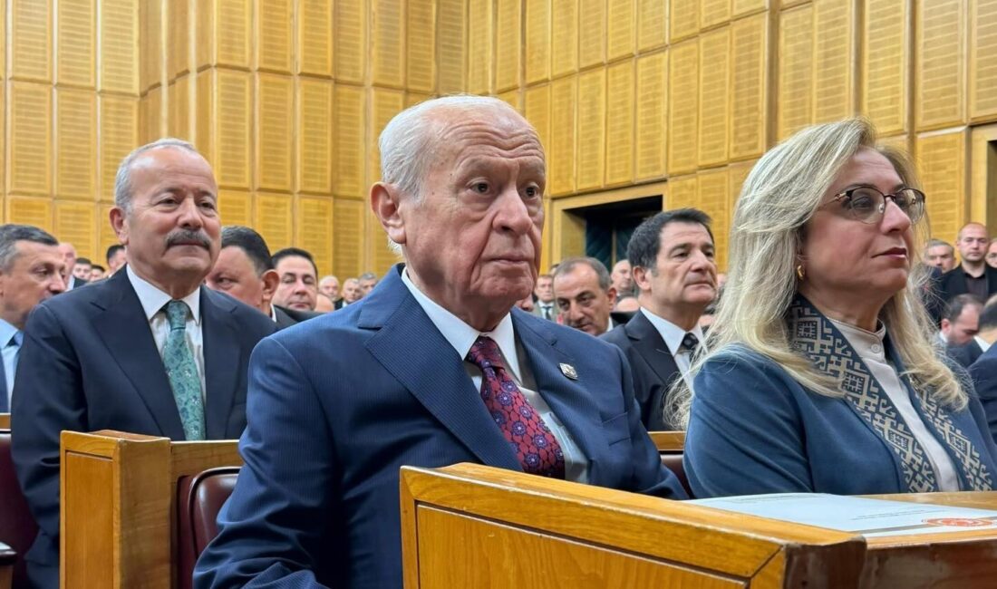 Milliyetçi Hareket Partisi Afyonkarahisar Milletvekili Mehmet Taytak, Türkiye Büyük Millet