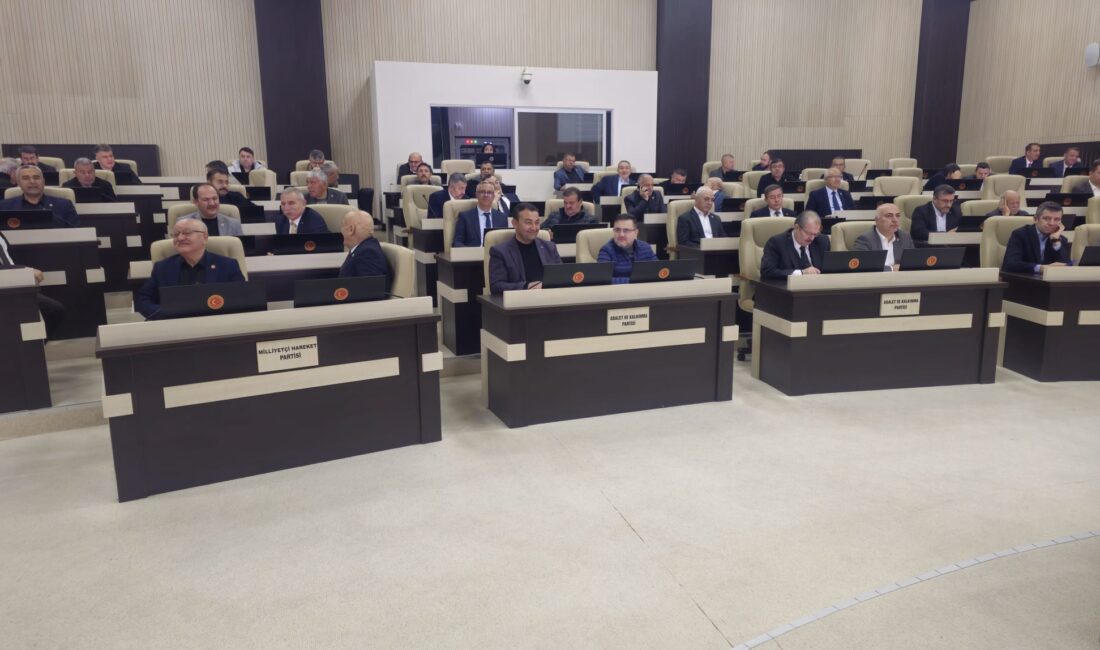 Afyonkarahisar İl Genel Meclisi mart ayı toplantılarının 3. oturumu, Meclis