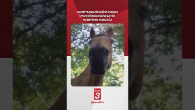 Kamp yapan bir kişinin sabah uyandığında karşılaştığı mükemmel manzara! 📶https://kanal3.com.tr/