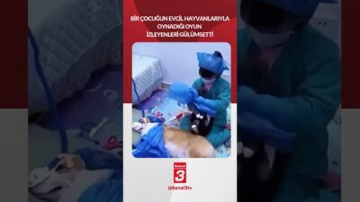 Bir çocuğun evcil hayvanlarıyla oynadığı oyun izleyenleri gülümsetti.. 📶https://kanal3.com.tr/ Sosyal