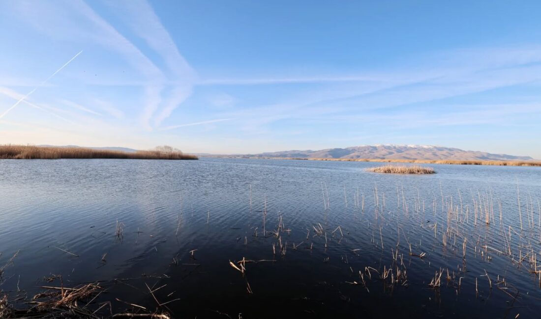 Sıfır Atık Vakfı Başkanı ve COP31 Yüksek Düzeyli İklim Şampiyonu