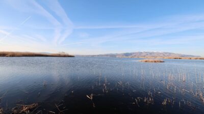 Sıfır Atık Vakfı Başkanı ve COP31 Yüksek Düzeyli İklim Şampiyonu