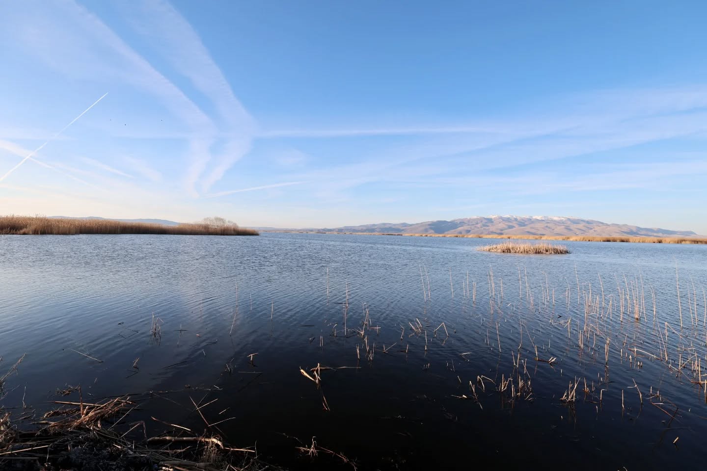 Sıfır Atık Vakfı Başkanı ve COP31 Yüksek Düzeyli İklim Şampiyonu